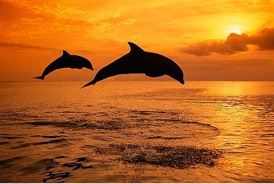 但丁配音演员疑似暗示《鬼泣6》消息：他们将带回《鬼泣 6》