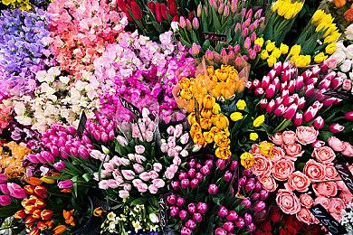 4X策略类游戏《战争与帝国》今日上线Steam 游戏支持中文