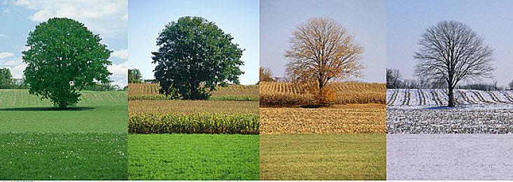 AI绘图被抓 D&D Beyond回应禁止画师用AI