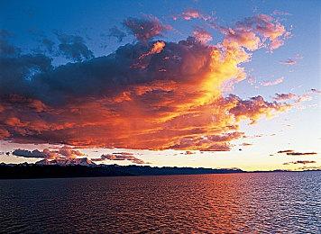 《游戏王：大师决斗》新活动“同调杯”上线 提供租借套牌